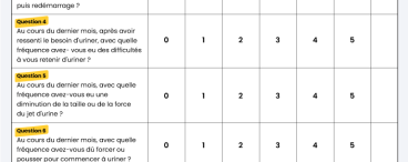 Questionnaire IPSS