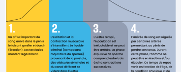 Ejaculation en 4 étapes