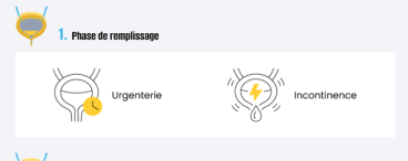 Rétention urinaire aiguë ou chronique : causes, symptômes et traitements 
