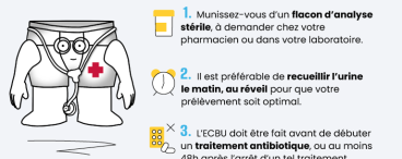 ECBU : à quoi sert cet examen des urines et comment se passe-t-il ?