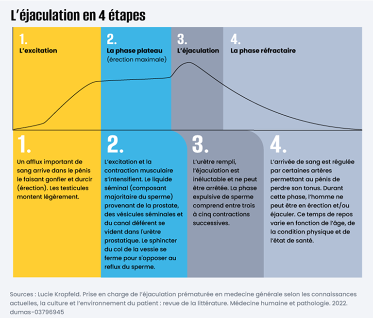 L'éjaculation en 4 étapes
